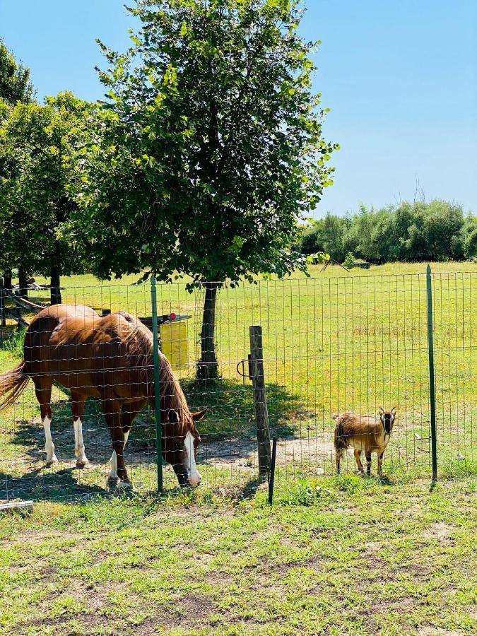 I Broletti Del Garda Ξενοδοχείο Pacengo Di Lazise Εξωτερικό φωτογραφία