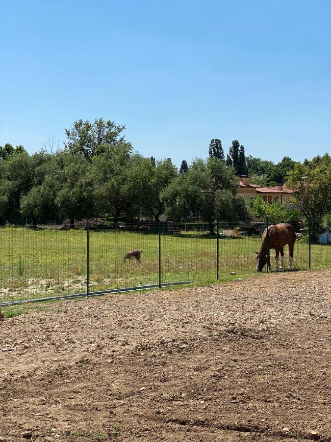 I Broletti Del Garda Ξενοδοχείο Pacengo Di Lazise Εξωτερικό φωτογραφία